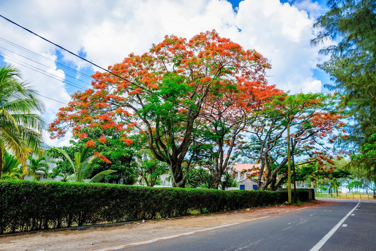 Filles Des Iles * Mont-Choisy